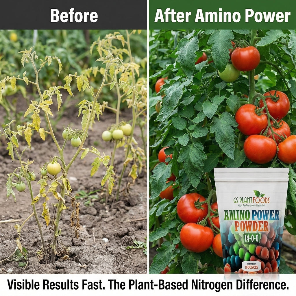 Amino Power Powder Nitrogen Fertilizer 16 oz - Plant-Based 100% Water Soluble High Nitrogen Source - 18 L-Amino Acids Chelating Agent for Foliar Spray, Turf, Vegetables, Fruits & Indoor Plants